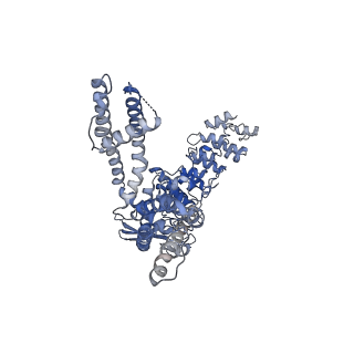 28976_8fc8_A_v1-0
Cryo-EM structure of the human TRPV4 in complex with GSK1016790A