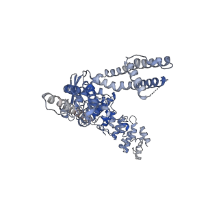 28976_8fcb_D_v1-0
Cryo-EM structure of the human TRPV4 - RhoA in complex with GSK1016790A