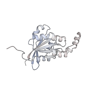 28976_8fcb_E_v1-0
Cryo-EM structure of the human TRPV4 - RhoA in complex with GSK1016790A