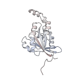 28976_8fcb_F_v1-0
Cryo-EM structure of the human TRPV4 - RhoA in complex with GSK1016790A