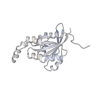 28976_8fcb_G_v1-0
Cryo-EM structure of the human TRPV4 - RhoA in complex with GSK1016790A