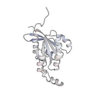 28976_8fcb_H_v1-0
Cryo-EM structure of the human TRPV4 - RhoA in complex with GSK1016790A