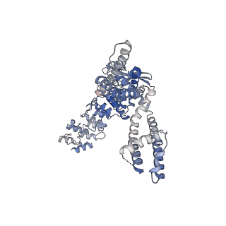28978_8fca_B_v1-0
Cryo-EM structure of the human TRPV4 - RhoA in complex with 4alpha-Phorbol 12,13-didecanoate