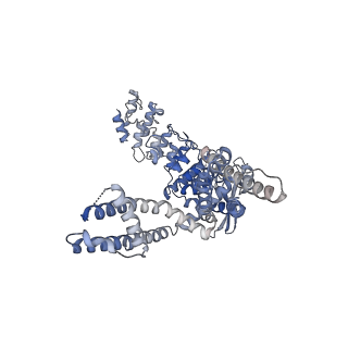 28978_8fca_C_v1-0
Cryo-EM structure of the human TRPV4 - RhoA in complex with 4alpha-Phorbol 12,13-didecanoate