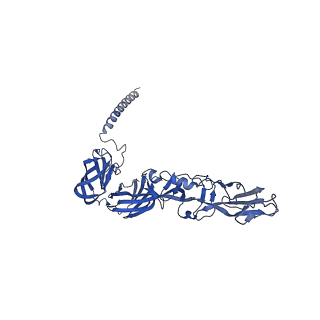 28979_8fcg_A_v1-0
Cryo-EM structure of Chikungunya virus asymmetric unit