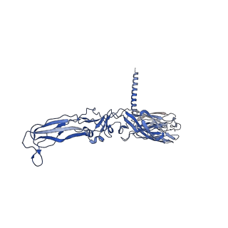 28979_8fcg_C_v1-0
Cryo-EM structure of Chikungunya virus asymmetric unit