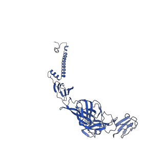 28979_8fcg_E_v1-0
Cryo-EM structure of Chikungunya virus asymmetric unit