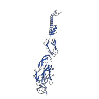 28979_8fcg_F_v1-0
Cryo-EM structure of Chikungunya virus asymmetric unit