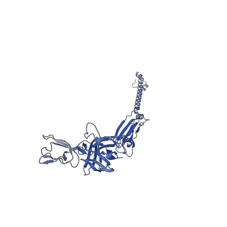 28979_8fcg_G_v1-0
Cryo-EM structure of Chikungunya virus asymmetric unit