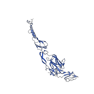 28979_8fcg_H_v1-0
Cryo-EM structure of Chikungunya virus asymmetric unit