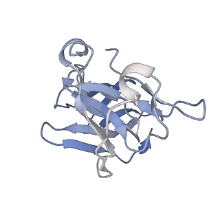 28979_8fcg_I_v1-0
Cryo-EM structure of Chikungunya virus asymmetric unit