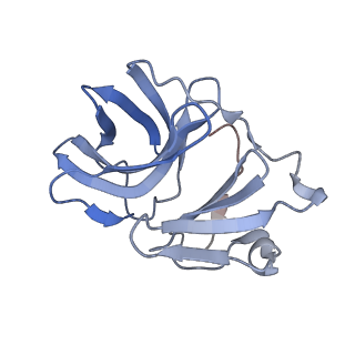 28979_8fcg_J_v1-0
Cryo-EM structure of Chikungunya virus asymmetric unit