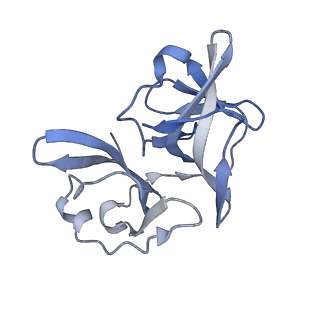 28979_8fcg_K_v1-0
Cryo-EM structure of Chikungunya virus asymmetric unit