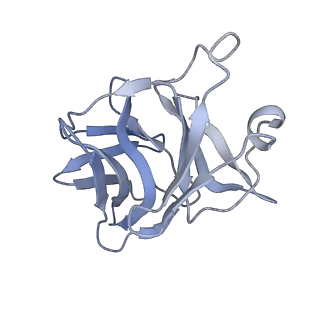 28979_8fcg_L_v1-0
Cryo-EM structure of Chikungunya virus asymmetric unit