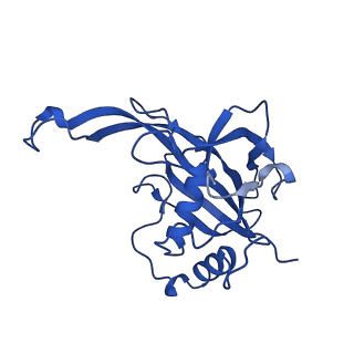 28980_8fcj_A_v1-3
Cryo-EM structure of Cascade-DNA (P23) complex in type I-B CAST system