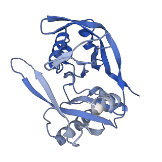 28980_8fcj_B_v1-3
Cryo-EM structure of Cascade-DNA (P23) complex in type I-B CAST system
