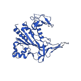 28980_8fcj_E_v1-3
Cryo-EM structure of Cascade-DNA (P23) complex in type I-B CAST system