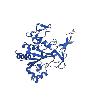 28980_8fcj_F_v1-3
Cryo-EM structure of Cascade-DNA (P23) complex in type I-B CAST system