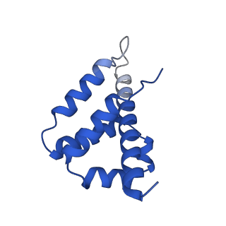 28980_8fcj_L_v1-3
Cryo-EM structure of Cascade-DNA (P23) complex in type I-B CAST system
