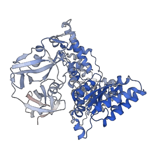 28982_8fcl_A_v1-3
Cryo-EM structure of p97:UBXD1 closed state