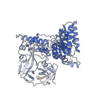 28982_8fcl_B_v1-3
Cryo-EM structure of p97:UBXD1 closed state