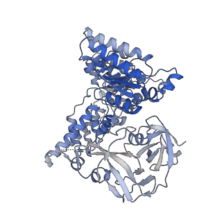 28982_8fcl_C_v1-3
Cryo-EM structure of p97:UBXD1 closed state