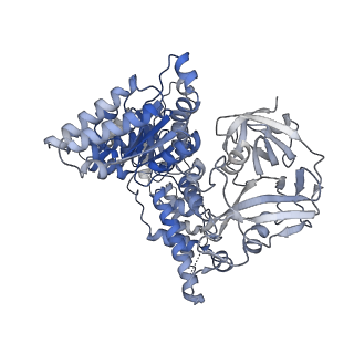 28982_8fcl_D_v1-3
Cryo-EM structure of p97:UBXD1 closed state