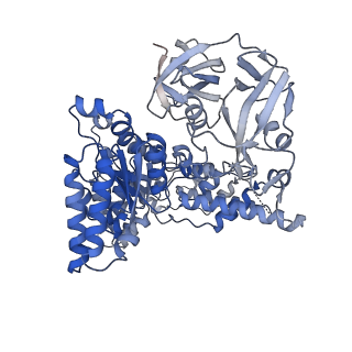28982_8fcl_E_v1-3
Cryo-EM structure of p97:UBXD1 closed state