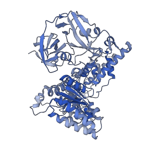 28982_8fcl_F_v1-3
Cryo-EM structure of p97:UBXD1 closed state