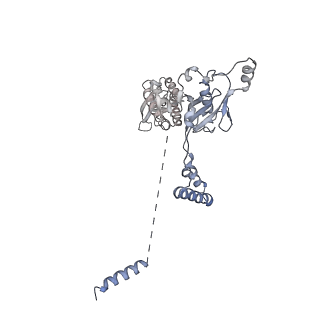 28982_8fcl_G_v1-3
Cryo-EM structure of p97:UBXD1 closed state