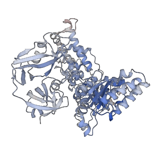 28983_8fcm_A_v1-3
Cryo-EM structure of p97:UBXD1 open state