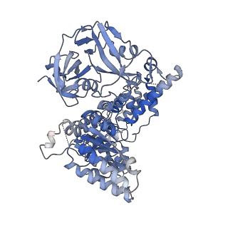 28983_8fcm_F_v1-3
Cryo-EM structure of p97:UBXD1 open state