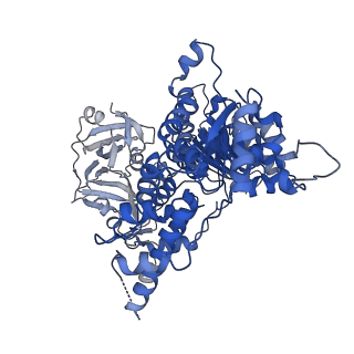 28987_8fcn_A_v1-3
Cryo-EM structure of p97:UBXD1 VIM-only state