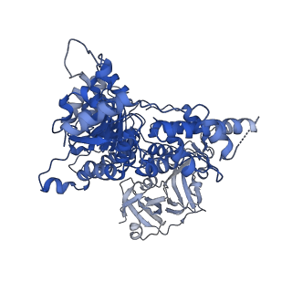 28987_8fcn_E_v1-3
Cryo-EM structure of p97:UBXD1 VIM-only state