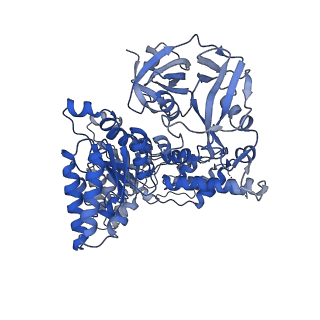 28988_8fco_A_v1-3
Cryo-EM structure of p97:UBXD1 meta state