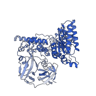 28988_8fco_D_v1-3
Cryo-EM structure of p97:UBXD1 meta state