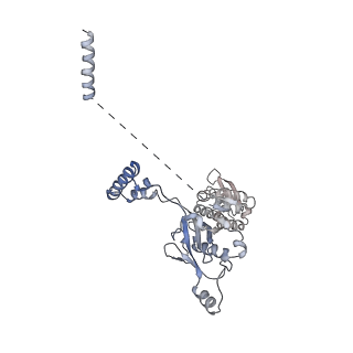 28988_8fco_G_v1-3
Cryo-EM structure of p97:UBXD1 meta state