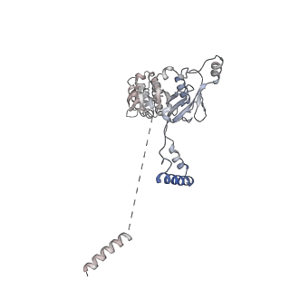 28988_8fco_H_v1-3
Cryo-EM structure of p97:UBXD1 meta state