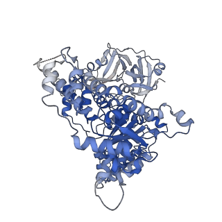 28989_8fcp_D_v1-3
Cryo-EM structure of p97:UBXD1 para state