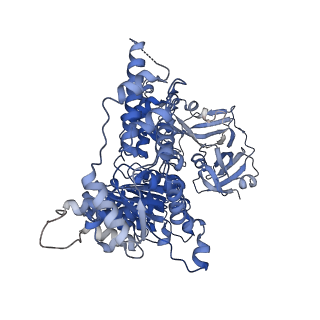 28989_8fcp_E_v1-3
Cryo-EM structure of p97:UBXD1 para state