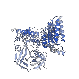28990_8fcq_B_v1-3
Cryo-EM structure of p97:UBXD1 PUB-in state