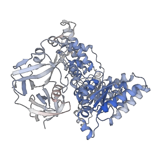 28991_8fcr_A_v1-3
Cryo-EM structure of p97:UBXD1 H4-bound state