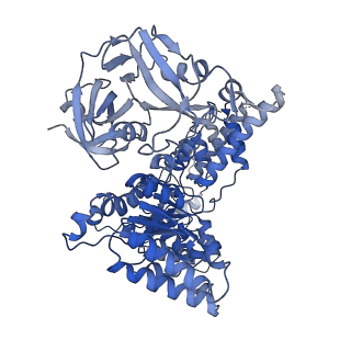 28992_8fct_B_v1-3
Cryo-EM structure of p97:UBXD1 lariat mutant