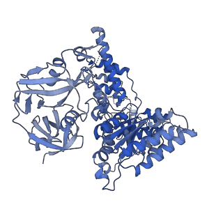 28992_8fct_C_v1-3
Cryo-EM structure of p97:UBXD1 lariat mutant