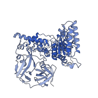 28992_8fct_D_v1-3
Cryo-EM structure of p97:UBXD1 lariat mutant