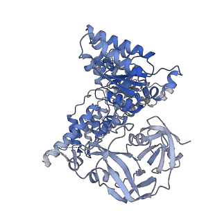 28992_8fct_E_v1-3
Cryo-EM structure of p97:UBXD1 lariat mutant