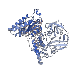 28992_8fct_F_v1-3
Cryo-EM structure of p97:UBXD1 lariat mutant