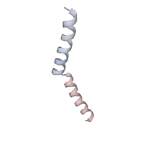 28992_8fct_G_v1-3
Cryo-EM structure of p97:UBXD1 lariat mutant