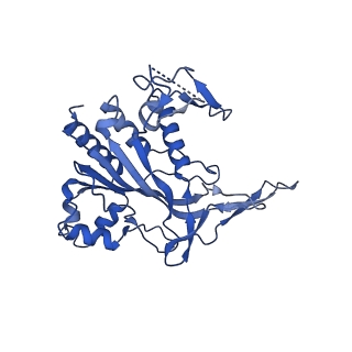 28993_8fcu_E_v1-3
Cryo-EM structure of Cascade-DNA-TniQ-TnsC complex in type I-B CAST system