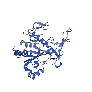 28993_8fcu_F_v1-3
Cryo-EM structure of Cascade-DNA-TniQ-TnsC complex in type I-B CAST system